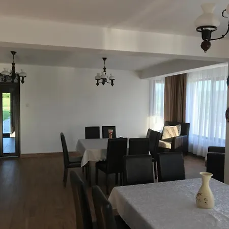 Dady Guest house *